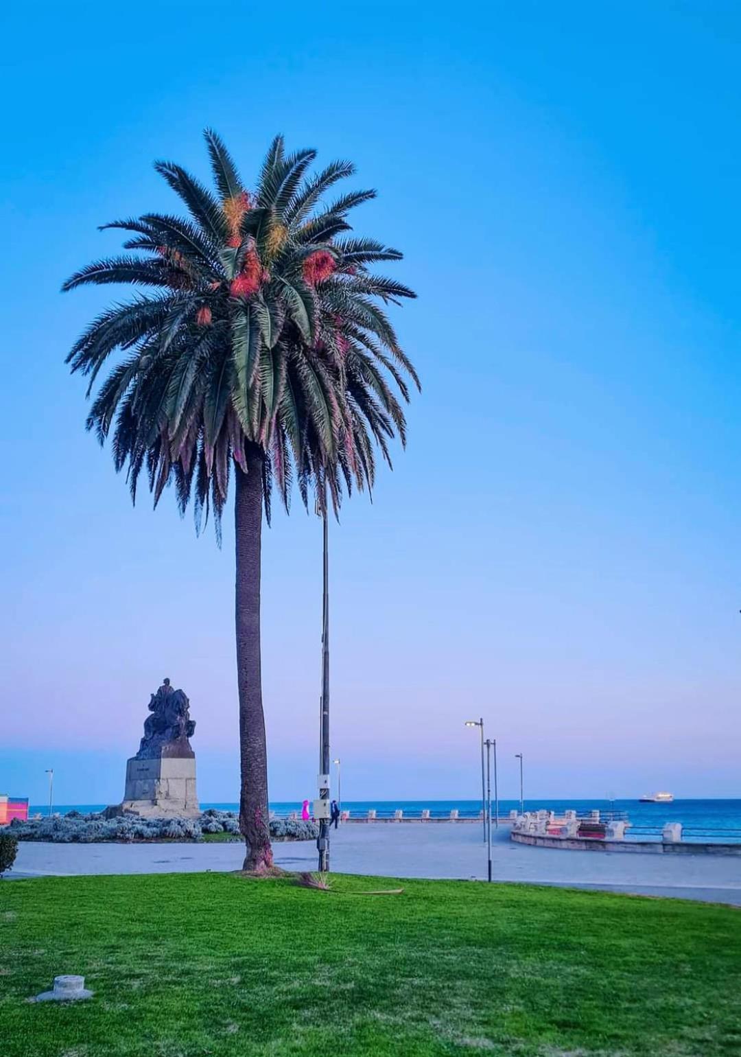 Tramonto Sul Mare - Sea Suite Savona Dış mekan fotoğraf